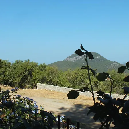 Dream Villa E Oludeniz * فتحية